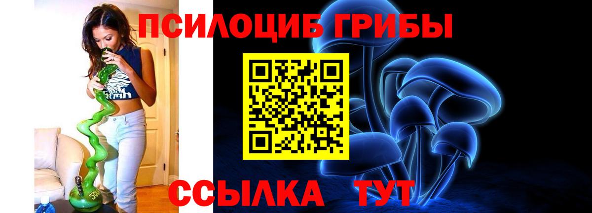 Еманжелинск  Галлюциногенные грибы Cubensis  Псилоцибиновые грибы Cubensis  что такое   Вход с VPN 